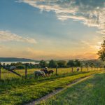 First Off-Grid, Self-Powering Phone Mast Switched-On